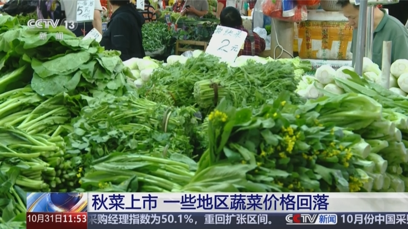 秋菜上市 一些地區(qū)蔬菜價格回落